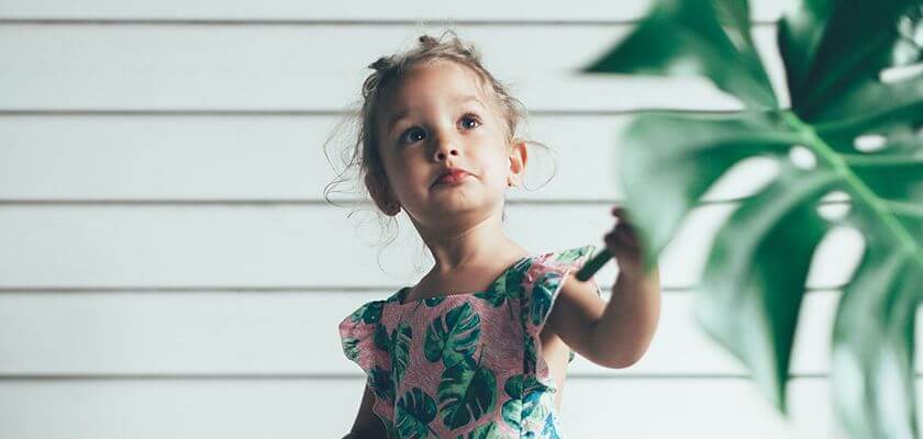 Blog Img 4 3